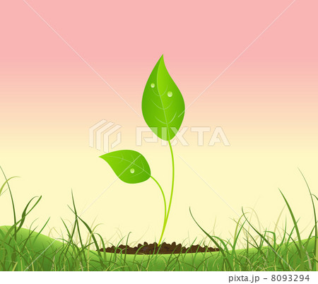 Spring Plant Growing In A Garden 8093294