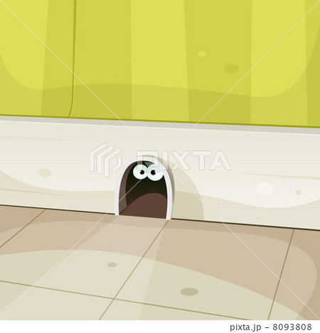Mouse Home Inside Walls 8093808