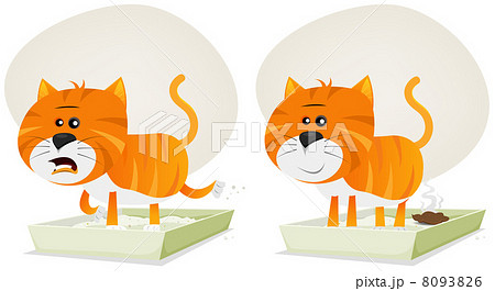 Cat Litter, Before And After 8093826