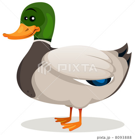 Cartoon Mallard Duck 8093888