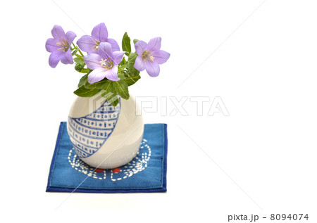 桔梗の花 8094074