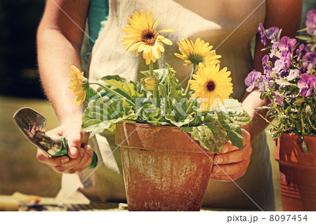 Woman doing garden work with vintage look 8097454