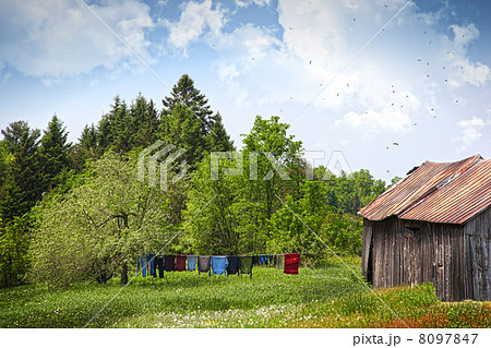 Laundry drying on clothesline on a summer day 8097847