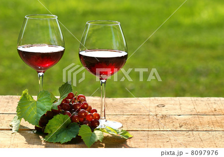 Wine on a summer day 8097976