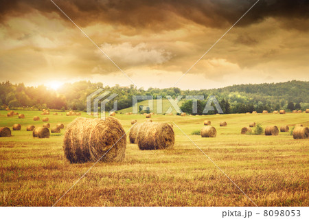Field of freshly bales of hay with beautiful sunset Field of freshly bales of hay with beautiful sunset 8098053