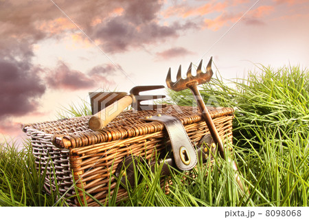 Wicker backet with garden tools in grass Wicker backet with garden tools in grass 8098068