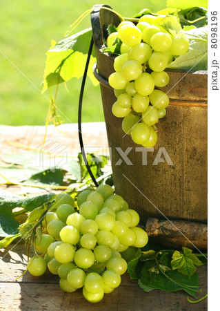 Green grapes and leaves 8098196