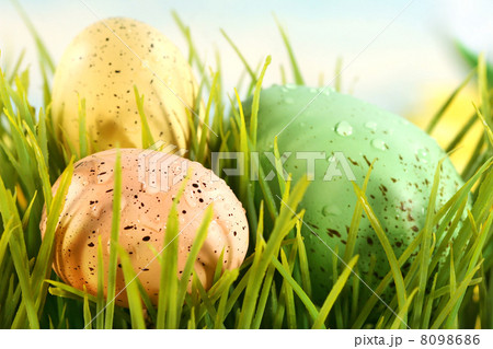 Three colored eggs Three colored eggs 8098686