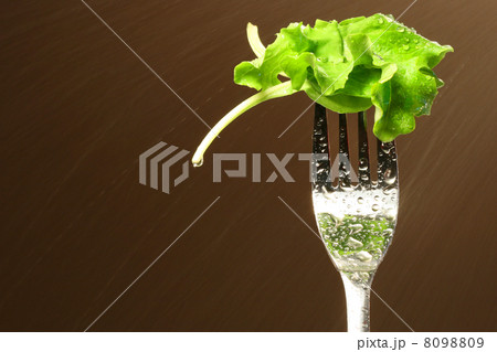Leaf of lettuce on a fork 8098809