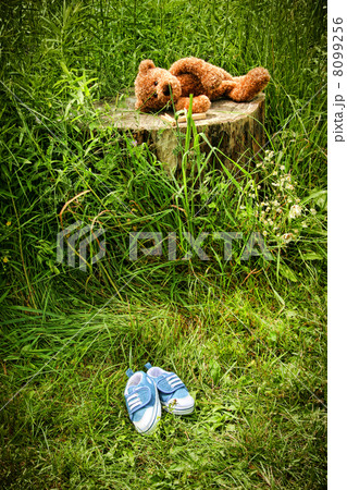 Little stuff teddy bear laying on an tree stump Little stuff teddy bear laying on an tree stump 8099256