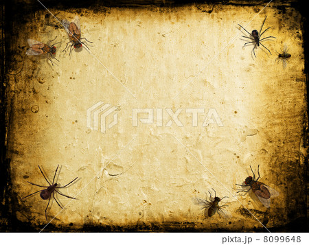 Grunge insects 8099648