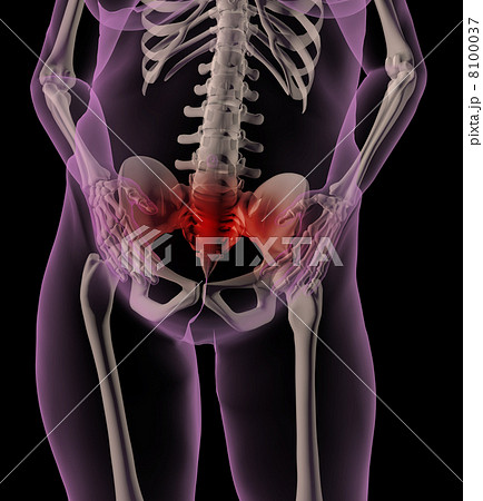 Female medical skeleton with stomach ache Female medical skeleton with stomach ache 8100037