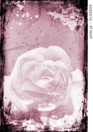 Grunge rose 8100899