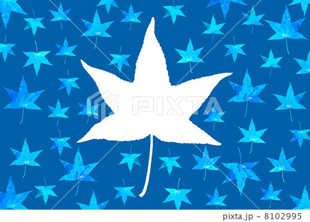 プラタナスの葉 8102995