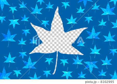 プラタナスの葉 8102995