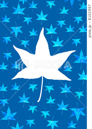 プラタナスの葉 8102997