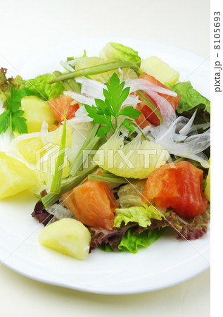 イタドリ野菜サラダ 8105693