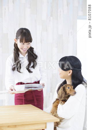 ペットイメージ ペットイメージ 8107088