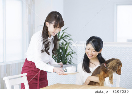 ペットイメージ 8107089