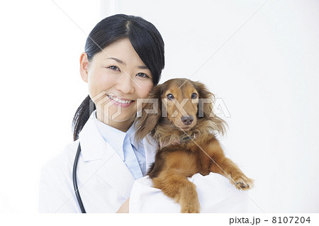 獣医 8107204