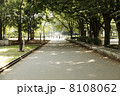 公園 8108062
