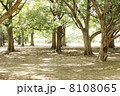 公園 8108065