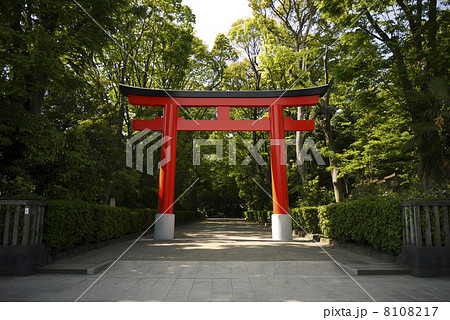 井草八幡宮 8108217