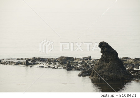 奇岩・ゴジラ岩【横】 奇岩・ゴジラ岩【横】 8108421