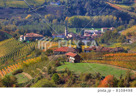 Small village and autumnal vineyards in Piedmont, Italy. 8108498