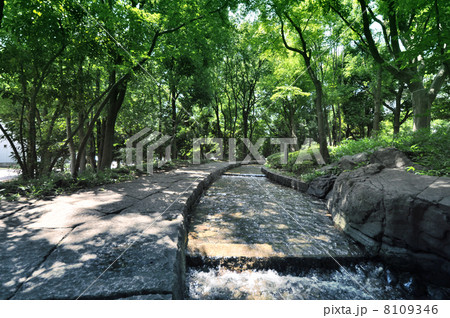 滝野川公園 8109346