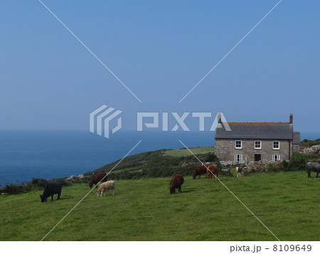 コーンウォールの牧場 8109649