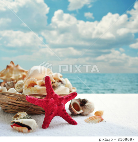 Starfish and seashells Starfish and seashells 8109697