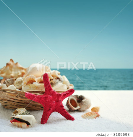 Starfish and seashells Starfish and seashells 8109698