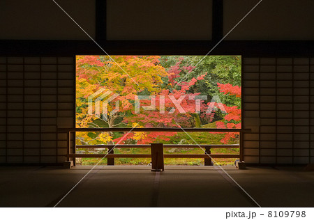 京都嵐山・天龍寺の額縁紅葉 8109798