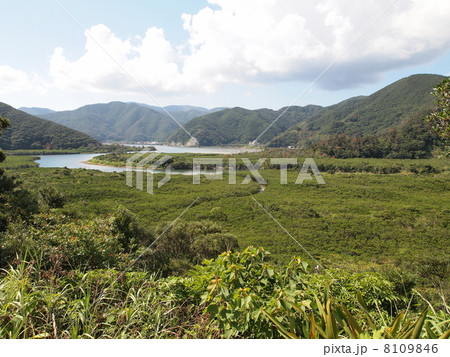 奄美大島・マングローブ原生林 奄美大島・マングローブ原生林 8109846