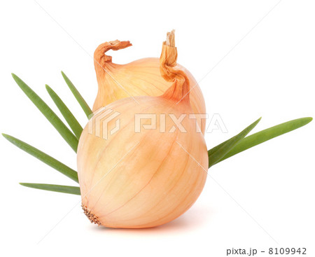 Onion vegetable 8109942
