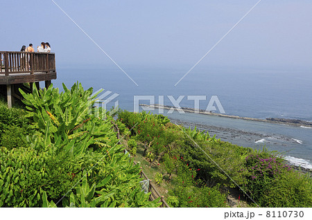 夏の堀切峠 8110730