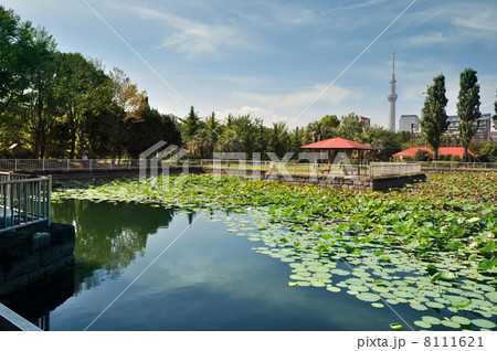猿江恩賜公園 猿江恩賜公園 8111621