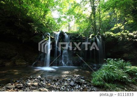 猿壺の滝 猿壺の滝 8111833