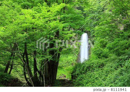 雨滝 雨滝 8111941