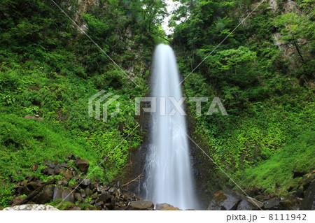 雨滝 雨滝 8111942