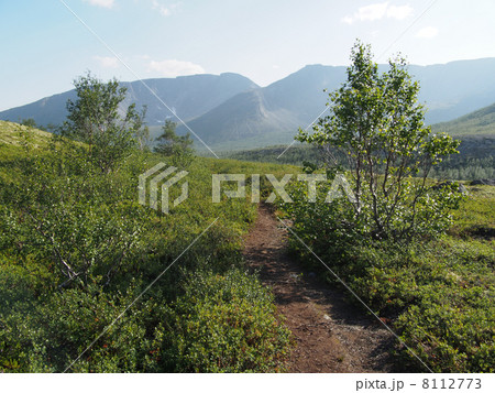 path in the mountains 8112773
