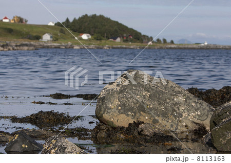 Shore of Runde Island (Norway) Shore of Runde Island (Norway) 8113163