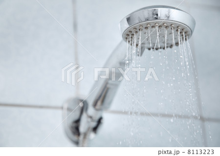 Shower Shower 8113223