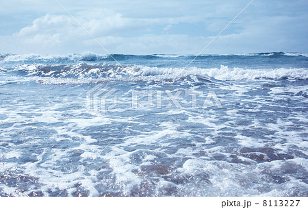 Marine scene Marine scene 8113227