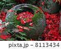 石甕に舞い落ちたもみじ 8113434