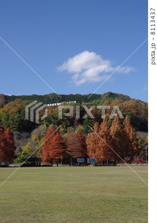 土師ダム湖畔公園の秋の景色 8113437