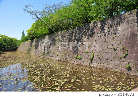 鹿児島城06 鹿児島城06 8114072