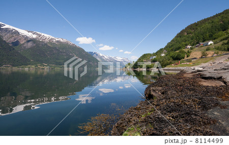 Hardangerfjord (Norway) Hardangerfjord (Norway) 8114499