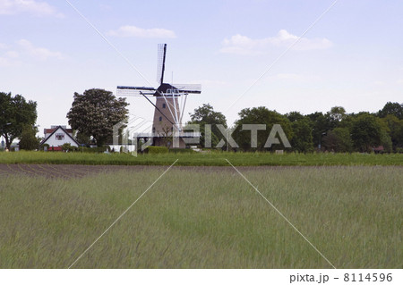 Windmill Windhond (Soest, the Netherlands) 8114596